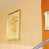 Отель Century Garden Holiday Hotel (Guangyuan Water Park City Government), фото 6