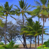 Отель By The Sea Port Douglas, фото 19