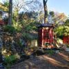 Отель Mt Dandenong Imperial Retreat, фото 15