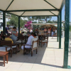 Отель Peda Hotels Akvaryum Beach, фото 26