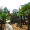 Отель Villa Anna Maria, фото 2