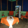 Отель Cabinas Tortuguero Natural, фото 10