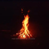 Отель Pine View Homestay, фото 11