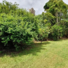 Отель Pohutukawa Lodge by Orewa Beach, фото 40