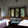 Отель Nepal Wildlife Resort, фото 3