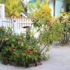 Отель Casita Carinosa, фото 1