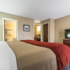 Отель Comfort Inn & Suites, фото 24