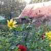 Отель B&B Immer met Moed, фото 18