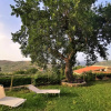 Отель Bellezza in Cilento Panoramic Apts, фото 26
