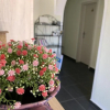 Отель Apartmani Novkovic, фото 23