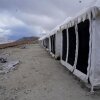 Отель TIH Ladakh Summer Camp Pangong, фото 7
