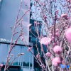 Отель EBO Hotel(Hangzhou West Lake Wulin Square Store), фото 10