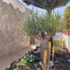Отель Beach house with the heated pool next to Rocky Point, фото 15