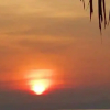 Отель Paniman Bay lodge, фото 9