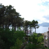 Отель Villa Nikola Kentera, фото 11