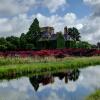 Отель Rudloe Arms Hotel, фото 9