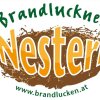 Отель Brandluckner Nesterl, фото 3