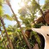Отель The Beach at Atlantis, фото 23