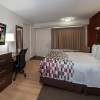 Отель Red Roof Inn Dayton - Fairborn/ Nutter Center, фото 3