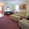 Отель Holiday Inn Express & Suites Bloomington - MPLS Arpt Area W, an IHG Hotel, фото 5