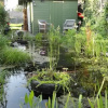 Отель Amsterzonian B&B, фото 4