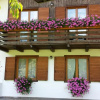 Отель Chalet Monica, фото 1