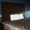 Отель Star Light Inn, фото 16