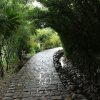 Отель Samsara The Resort & Club, фото 35