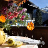 Отель Eiger Guest House Grindelwald, фото 13