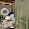Отель Foodie Guest House, фото 4