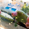 Отель Prickly Pear Holiday Home No.1, фото 10