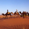 Отель Sahara Luxury Camp, фото 12