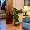 Отель Casa Bougainvillea, фото 16
