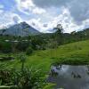 Отель Arenal Manoa & Hot Springs Resort, фото 15