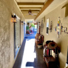 Отель Old Ranch Inn - Adults Only, фото 12
