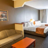 Отель Comfort Suites Auburn near I-69, фото 5