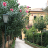 Отель Villa Matissa, фото 16
