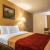 Отель Econo Lodge, фото 14