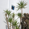 Отель Little Rochari, фото 12
