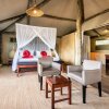 Отель Eagle Tented Lodge & Spa Etosha, фото 26