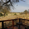 Отель Mthimkhulu Private Game Reserve- Adults Only, фото 19