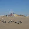 Отель Oceanside Gem W/ Private Deck, Canal Views & Pools 2 Bedroom Condo, фото 20