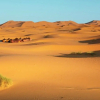 Отель Etoile Sahara Camp, фото 27