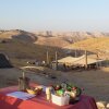 Отель Desert Camping Israel - Hostel, фото 1