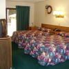 Отель Tall Pines Motel, фото 1