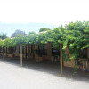 Отель Angaston Vineyards Motel, фото 6