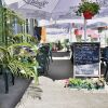 Отель Cafe Verkehrt - Kultur Genuss Hotel, фото 12