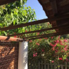 Отель Cottage Tala vicino Le Sabbie Nere, фото 2