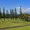Отель Kapalua Golf S 26t 5&6 1 Bedroom Condo, фото 20