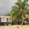 Отель Jungle Jeanies Beach Cabanas, фото 7